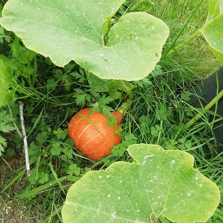 Le Chai De Serres B&B Artassenx