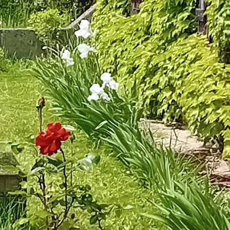 Le Chai De Serres B&B