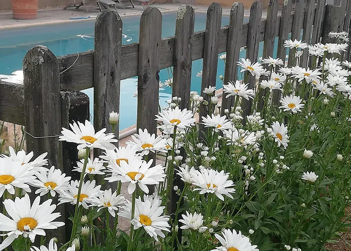 Le Chai De Serres Artassenx