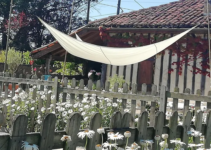 Le Chai De Serres Bed & Breakfast Artassenx