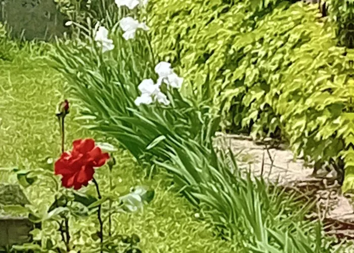 Le Chai De Serres Bed & Breakfast